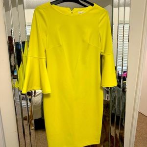 Calvin Klein Dress (6)